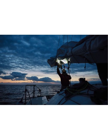 Lampada frontale LEDLENSER MH7
