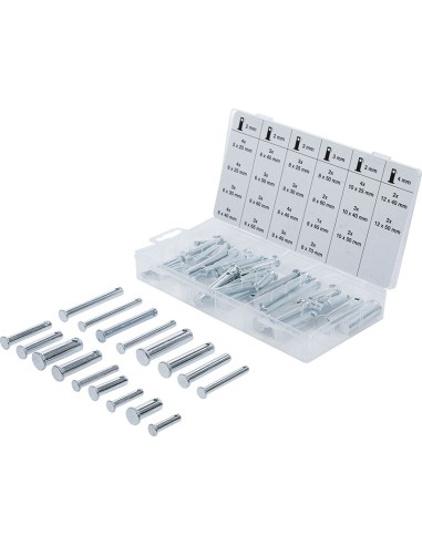 Assortimento perni di fissaggio da 60...