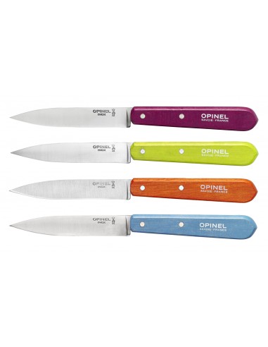 Coltelli OPINEL Cucina serie 4 pz...