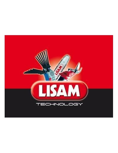 LISAM